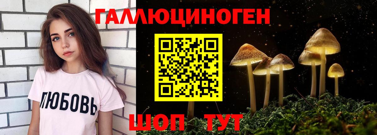 закладка  Псилоцибиновые грибы Magic Shrooms  Конаково  Вход с VPN  Галлюциногенные грибы GOLDEN TEACHER 